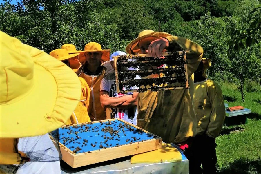 Pčelari FBiH nisu zadovoljni prinosom meda u ovoj godini