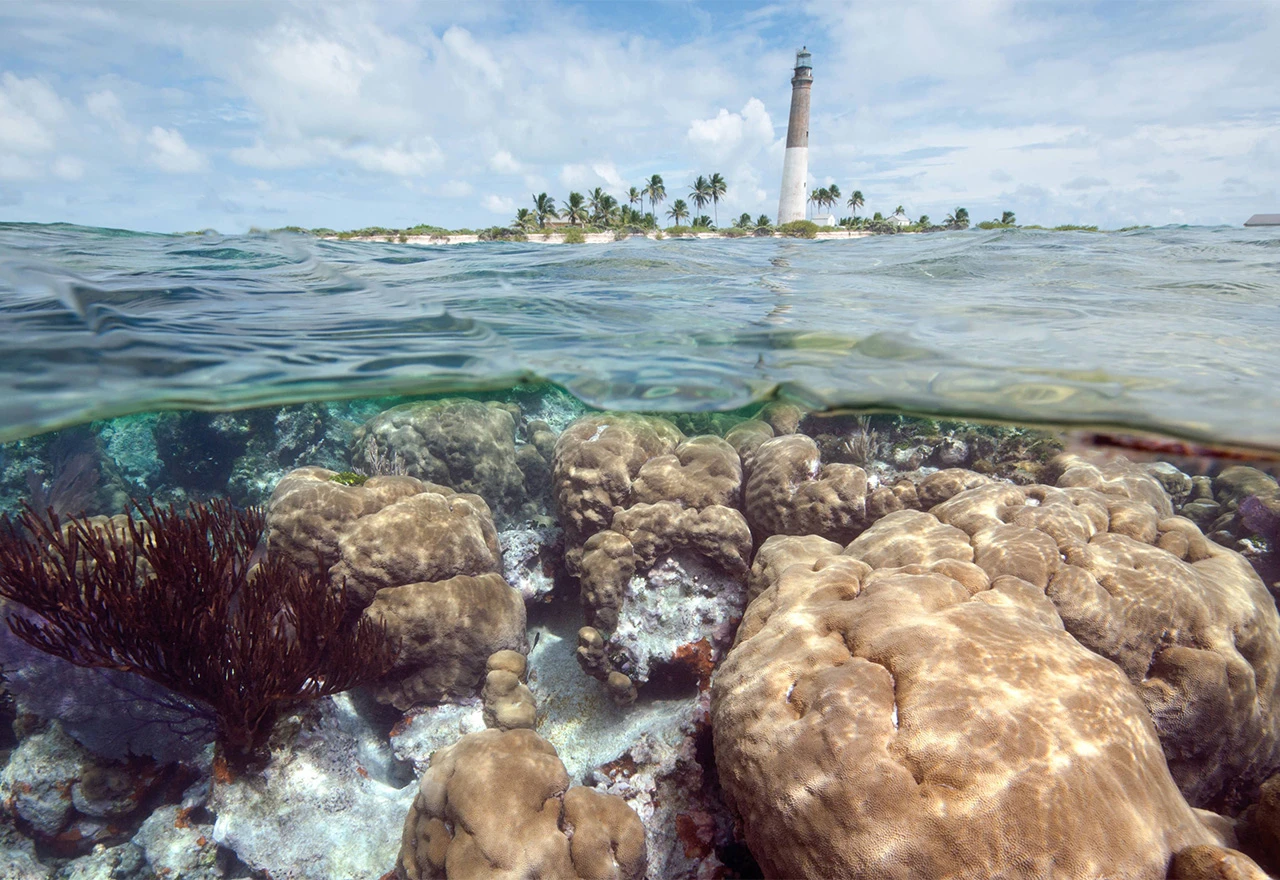 Temperatura vode u oceanu iznad 38 stupnjeva kod obala Floride