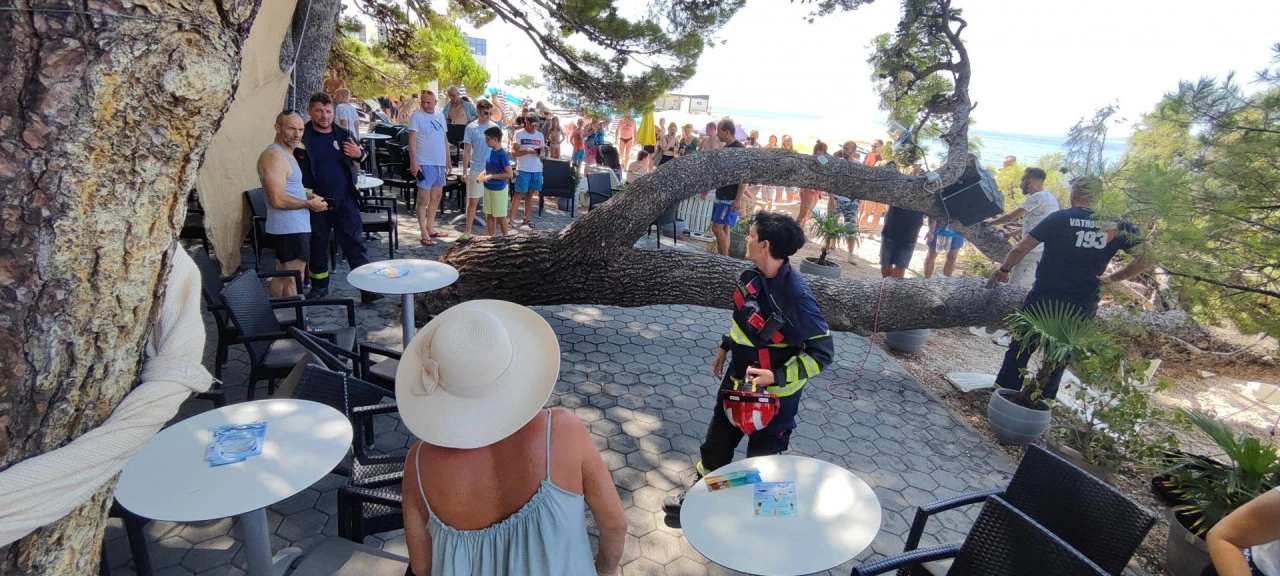Baška Voda: Četvero ljudi ozlijeđeno na plaži kada je na njih palo stablo
