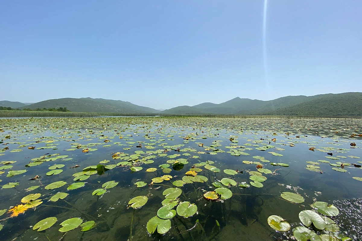 VIDEO | Hutovo blato u novom ruhu 