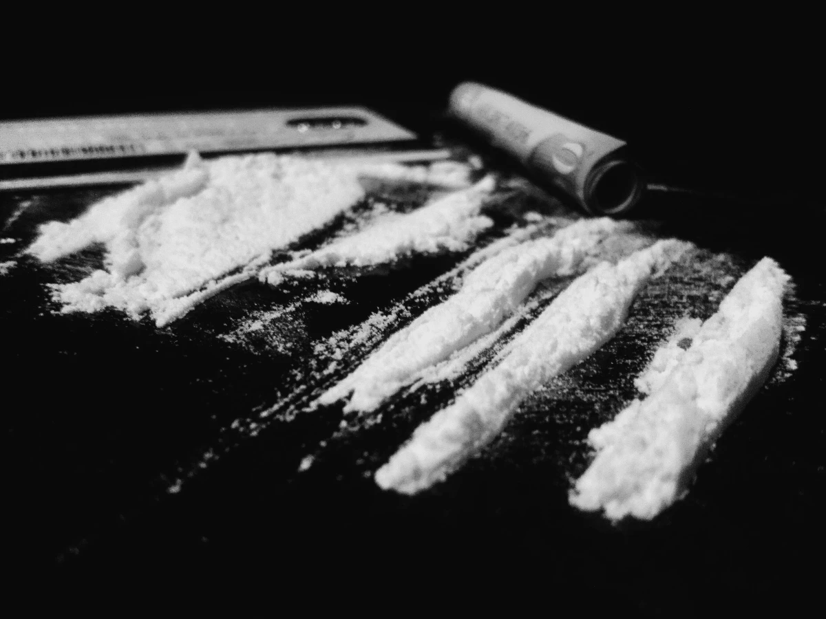 Svjetska proizvodnja kokaina dosegnula nezapamćene razine