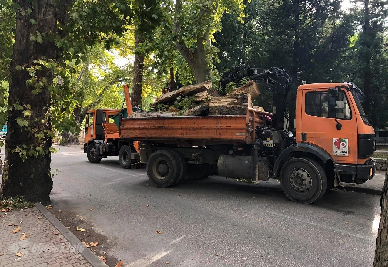 Za "uklanjanje suhih grana" u Aleji platana Grad izdvaja 10 tisuća KM
