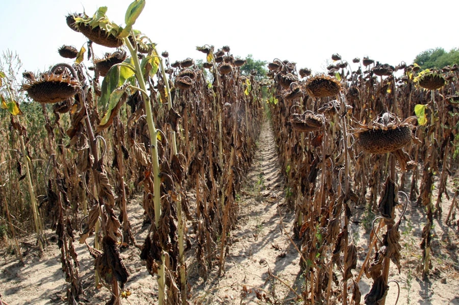 Proglašeno stanje prirodne nesreće u Orašju