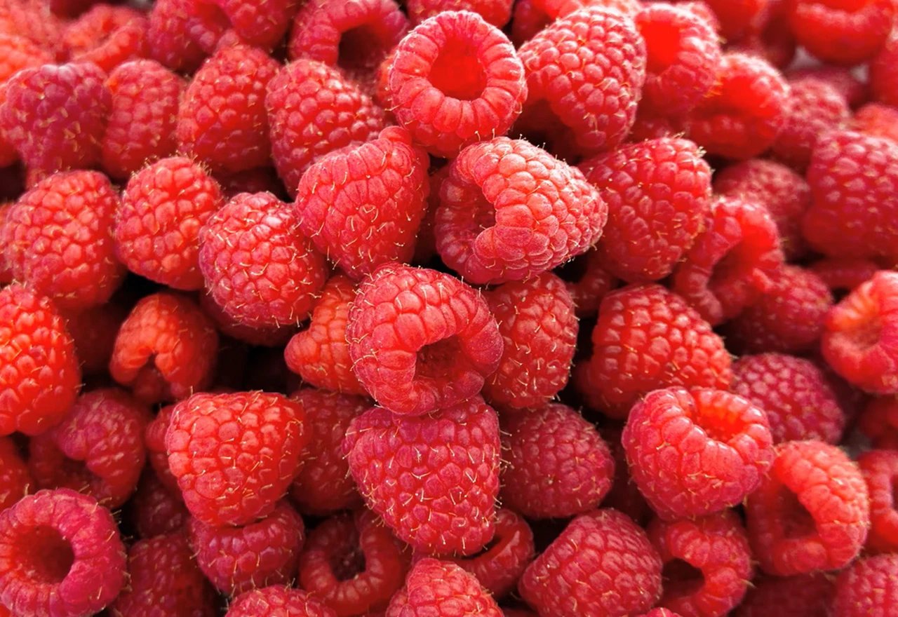 Malinari nezadovoljni otkupnom cijenom