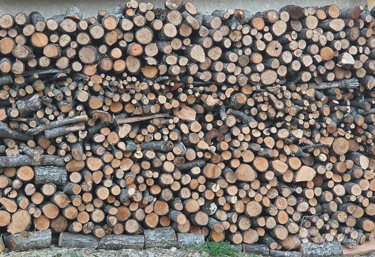 Zašto se plaćena drva čekaju mjesecima?