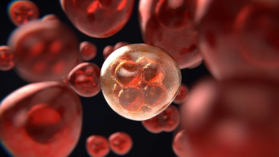 Čudesni lijek za rak: "Izliječi tumor kao antibiotici upalu pluća"