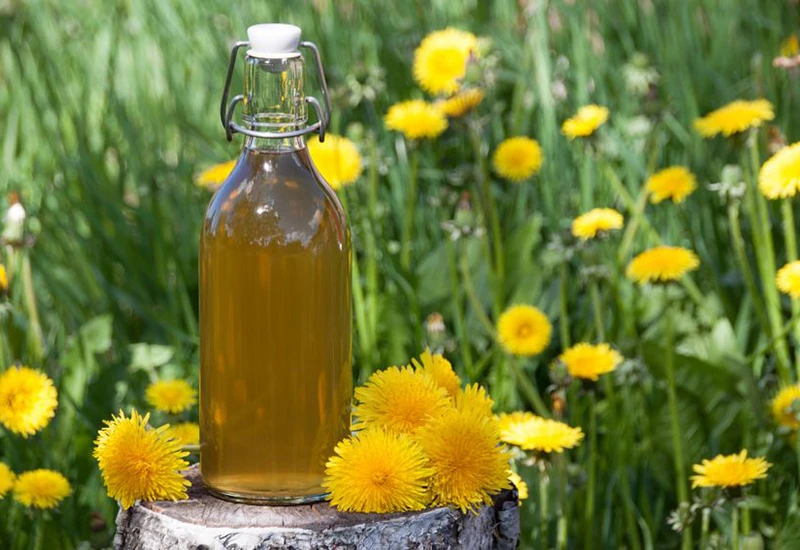 Recept za bakin sirup od maslačka