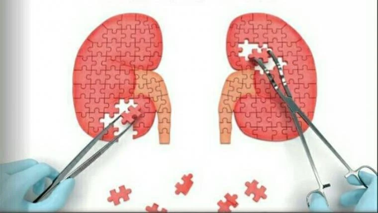 Od kraja siječnja 2020. do srpnja 2021. nije izvršena čak nijedna transplantacija u BiH