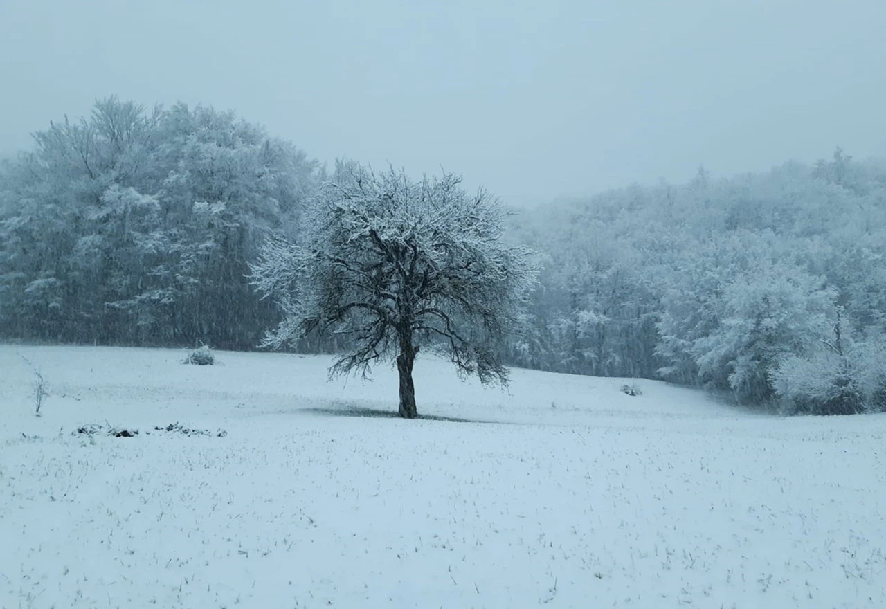 Tijekom dana sunčano, navečer snijeg