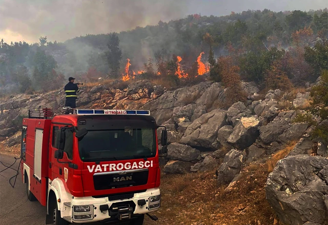 Gori u Jasenici