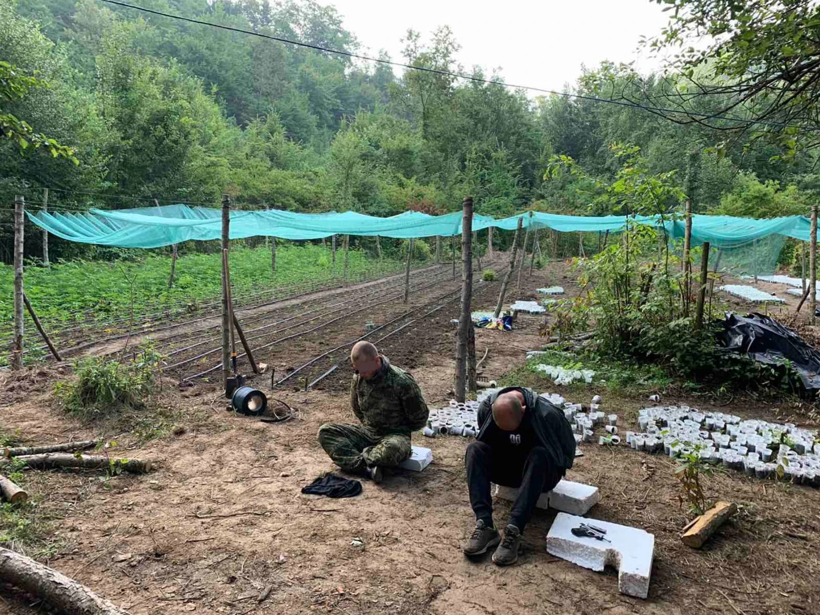 Uhićene četiri osobe - izgradili kamp za uzgoj marihuane