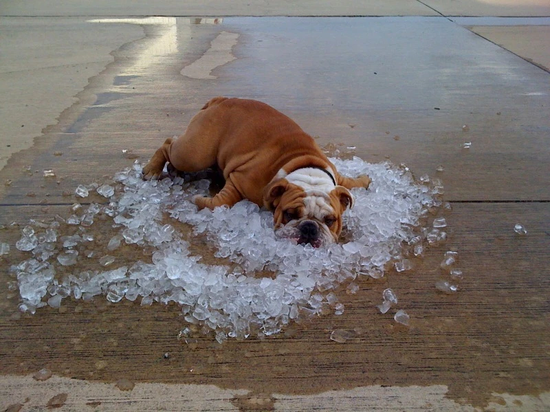 Kreću ljetnje vrućine, u nedjelju temperature i do 36°C