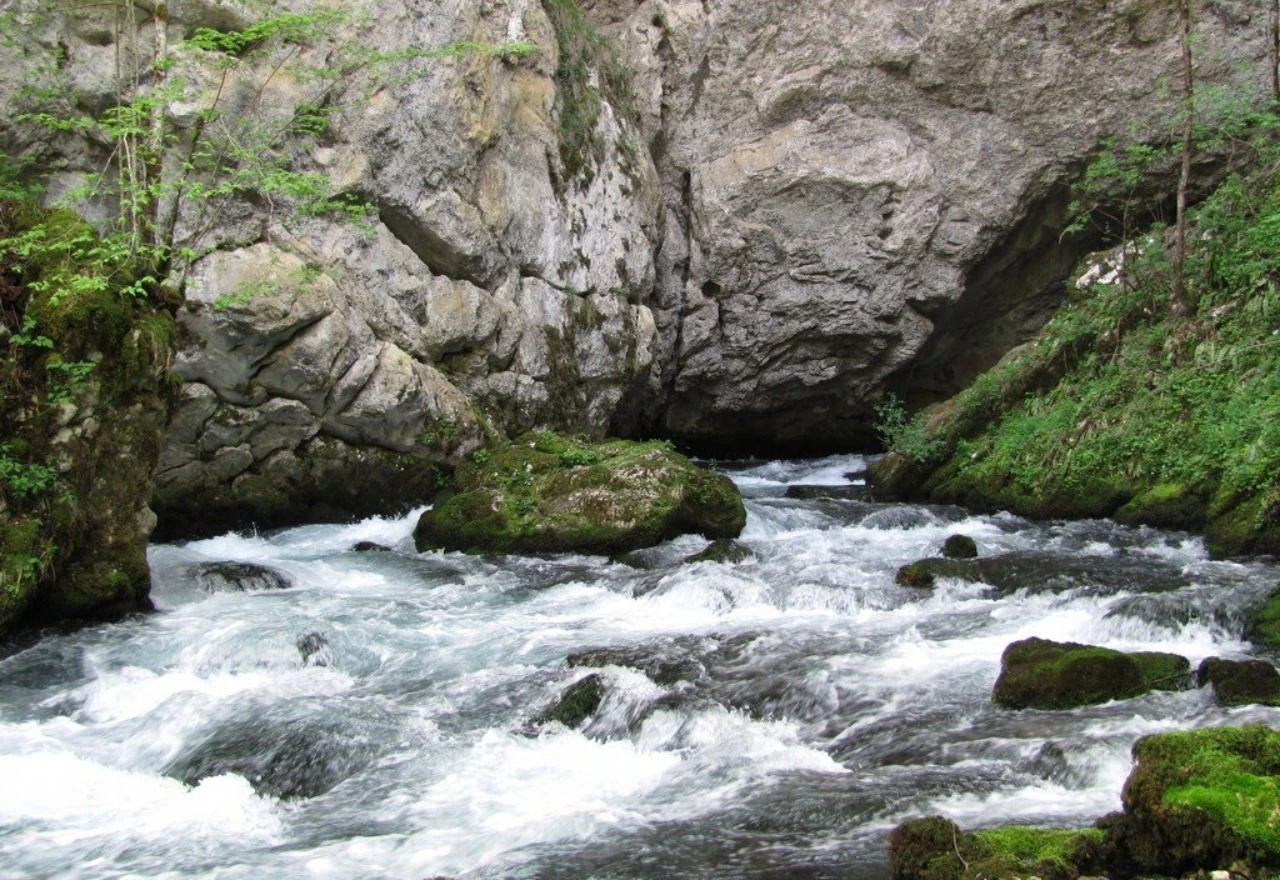 Nakon sedam godina borbe spašen izvor Sane