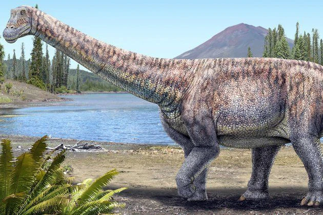 U Čileu otkrivena nova vrsta dinosaurusa