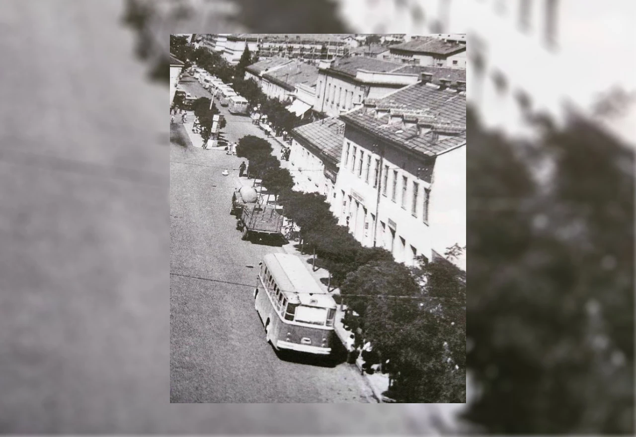 Rekonstrukcija i rezanje drvoreda - povijest u Mostaru se ponavlja