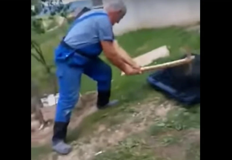 Razbijanje televizora: Nema više korone! Neka oni imaju para