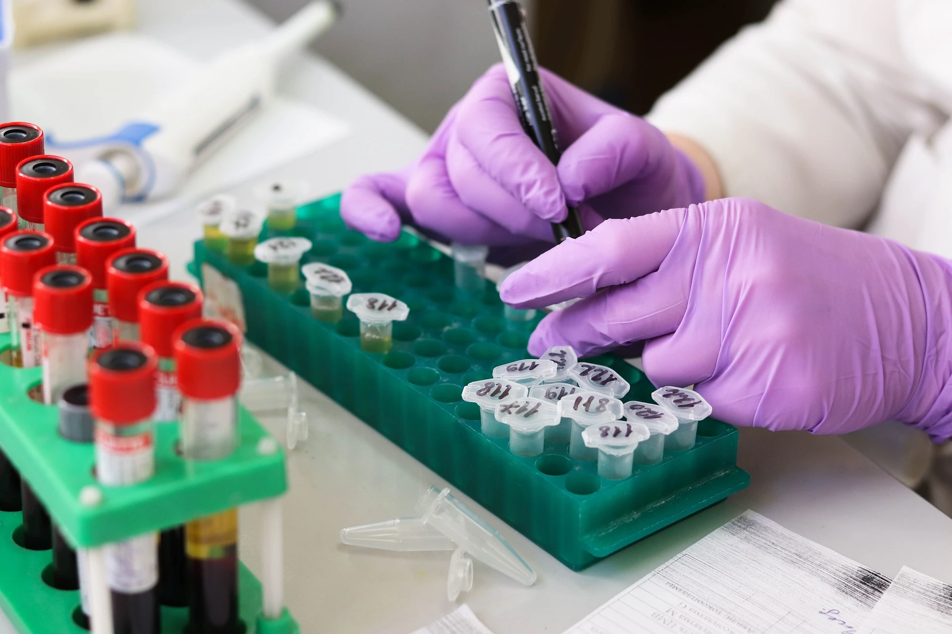 Godina velikih odluka: Medicina i znanost na povijesnom testu?