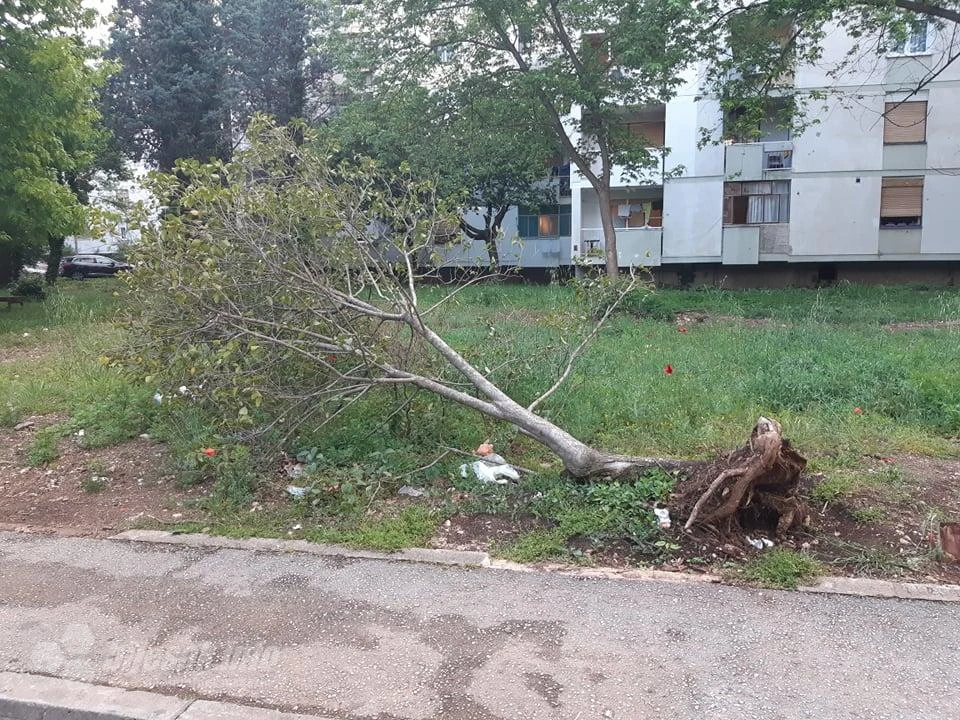 Leži mrtvac, nitko ga ne miče
