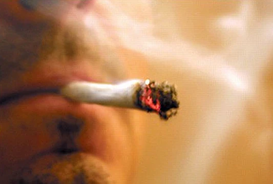 Trava u kutiji za lijekove zapela ispred karantene