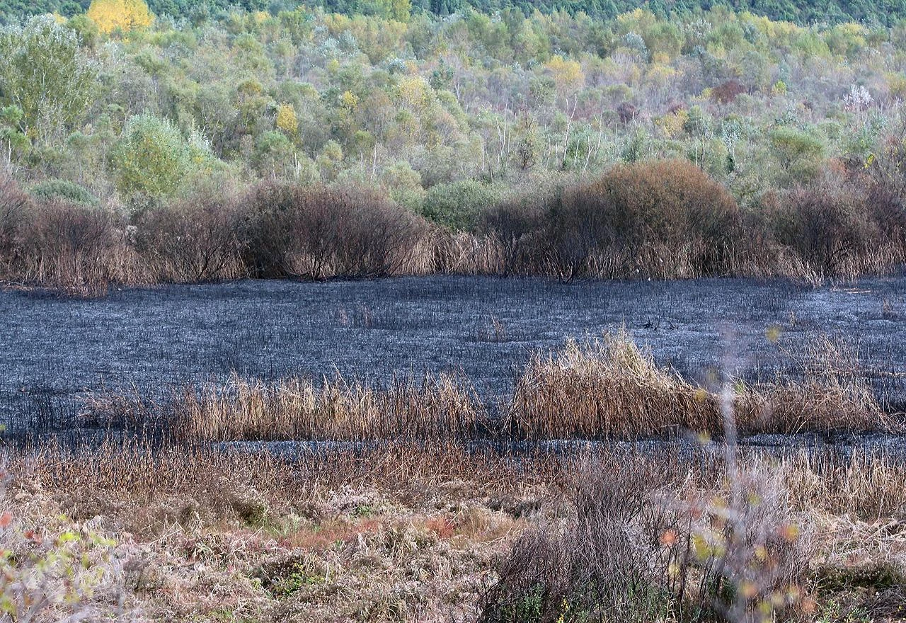 Požar u Parku prirode 'Hutovo blato' i dalje aktivan