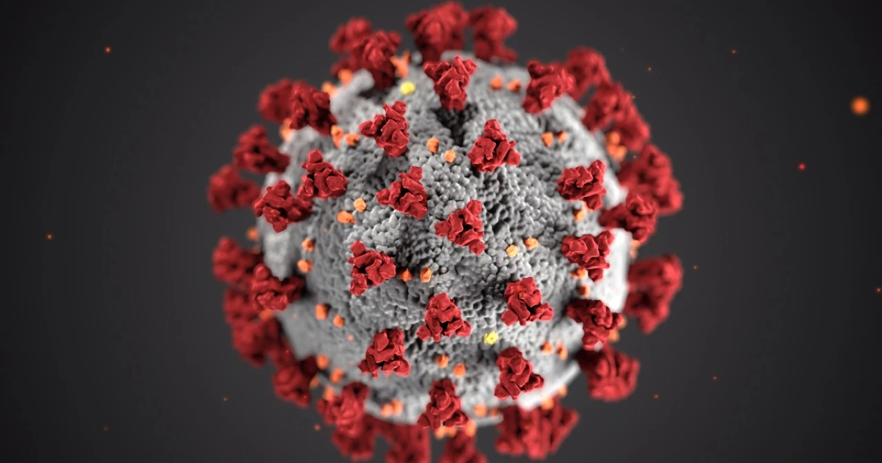 Koronavirus: rječnik pojmova