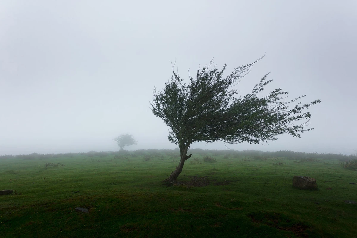 Izdan žuti meteoalarm, jaki udari vjetra na Kupresu