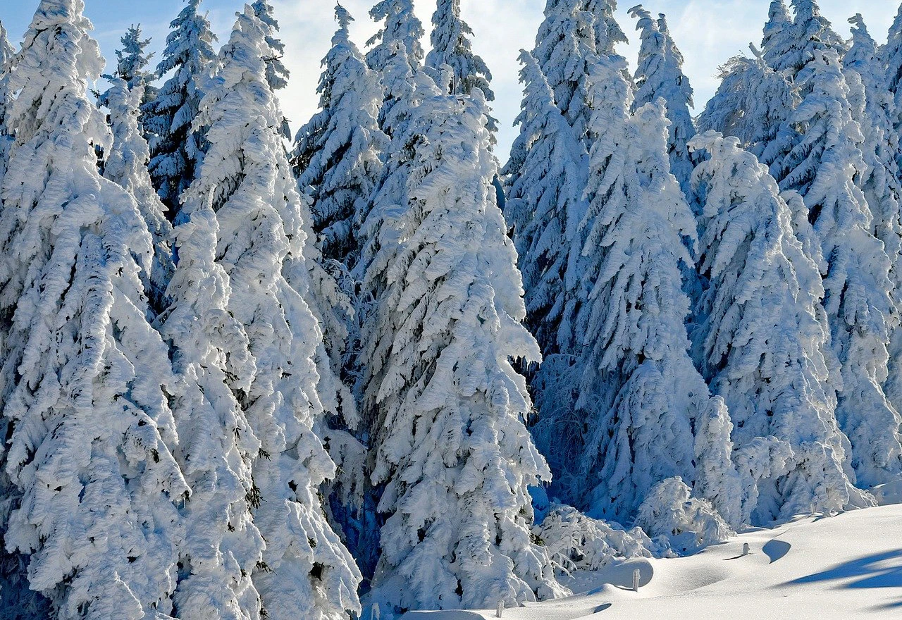 Meteorolozi najavili snijeg i minuse