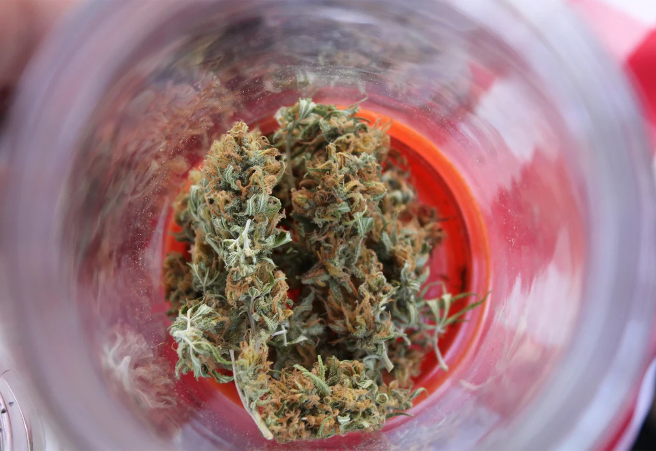 Legalizacija kanabisa privukla bi i profit i turiste u BiH