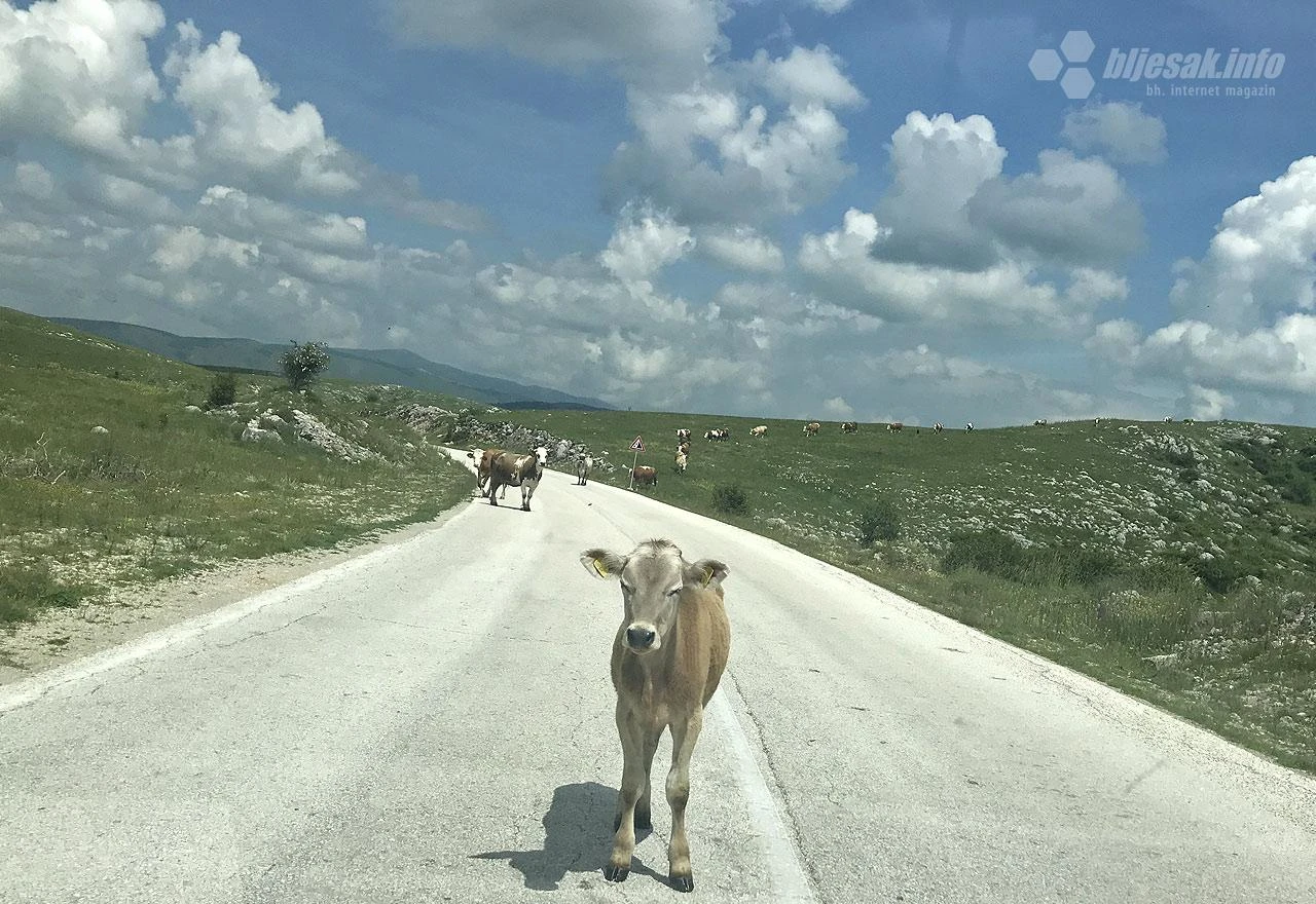 Ceste u BiH među najlošijima u svijetu