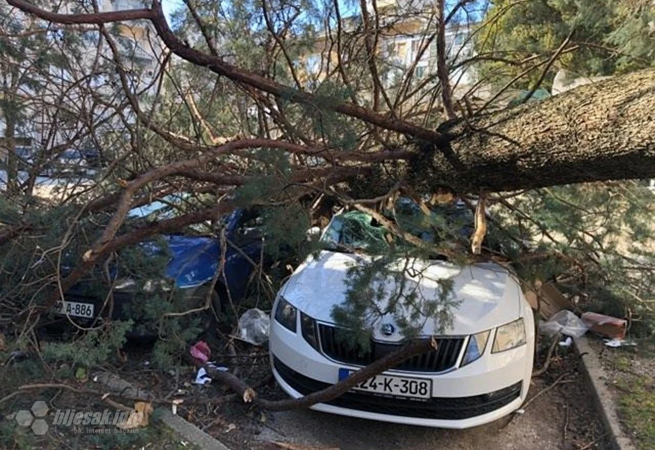 Stablo palo na dva vozila u Mostaru
