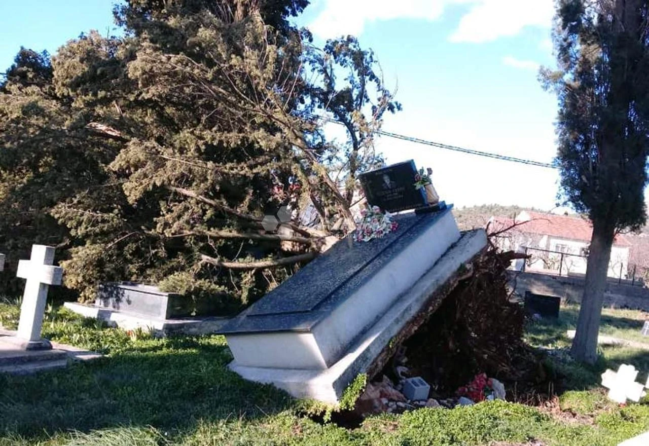 Čapljina: Stabla polomila grobove i spomenike u Strugama/Gorici