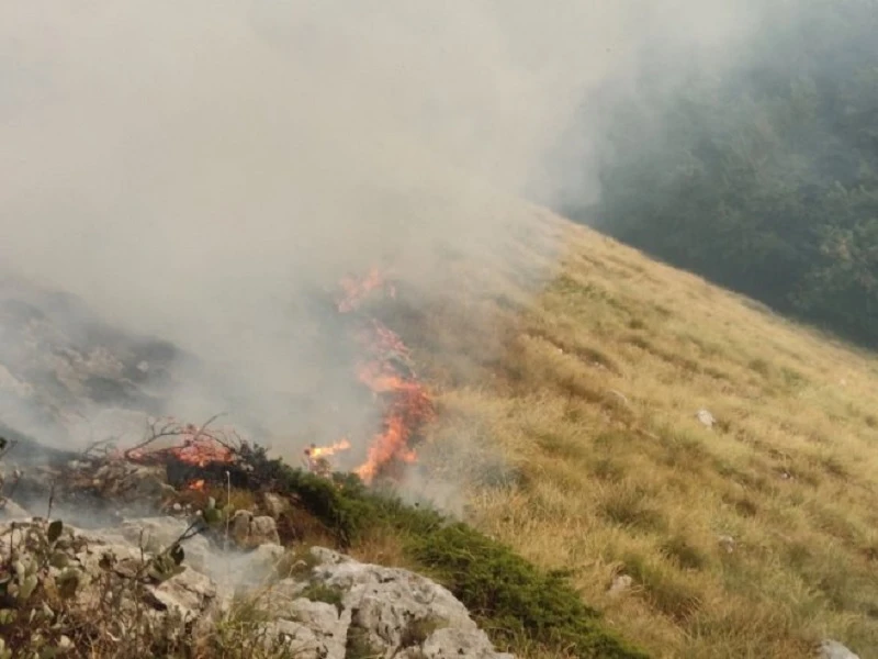 VIDEO | Vatra na Tjentištu prijeti da zahvati i Nacionalni park Sutjeska