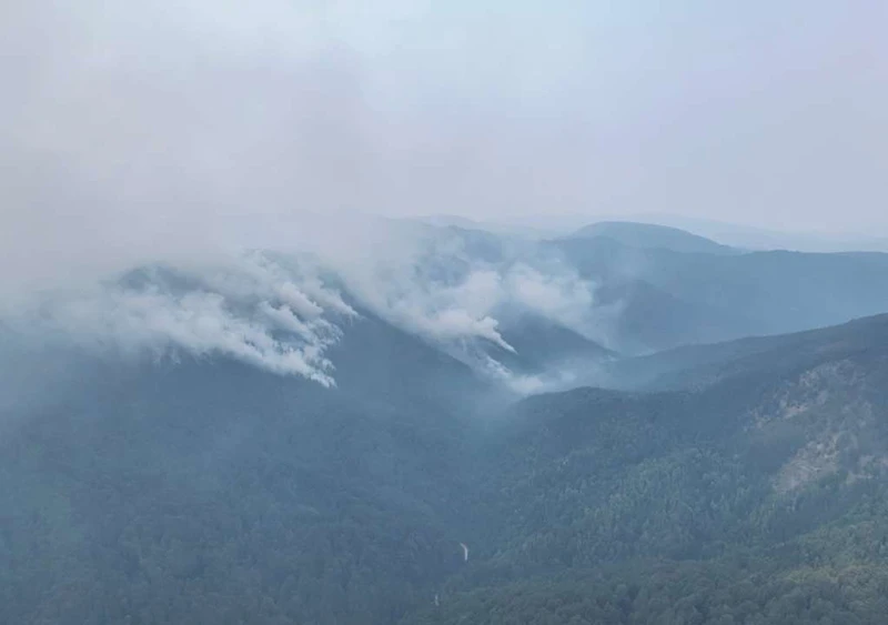 Požar na Ponijerima kod Kaknja izmiče kontroli, traži se pomoć helikoptera OSBiH
