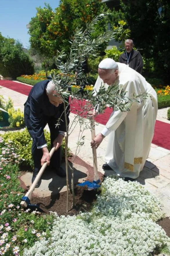 Papa pozvao na okončanje "rata protiv zajedničkog doma"