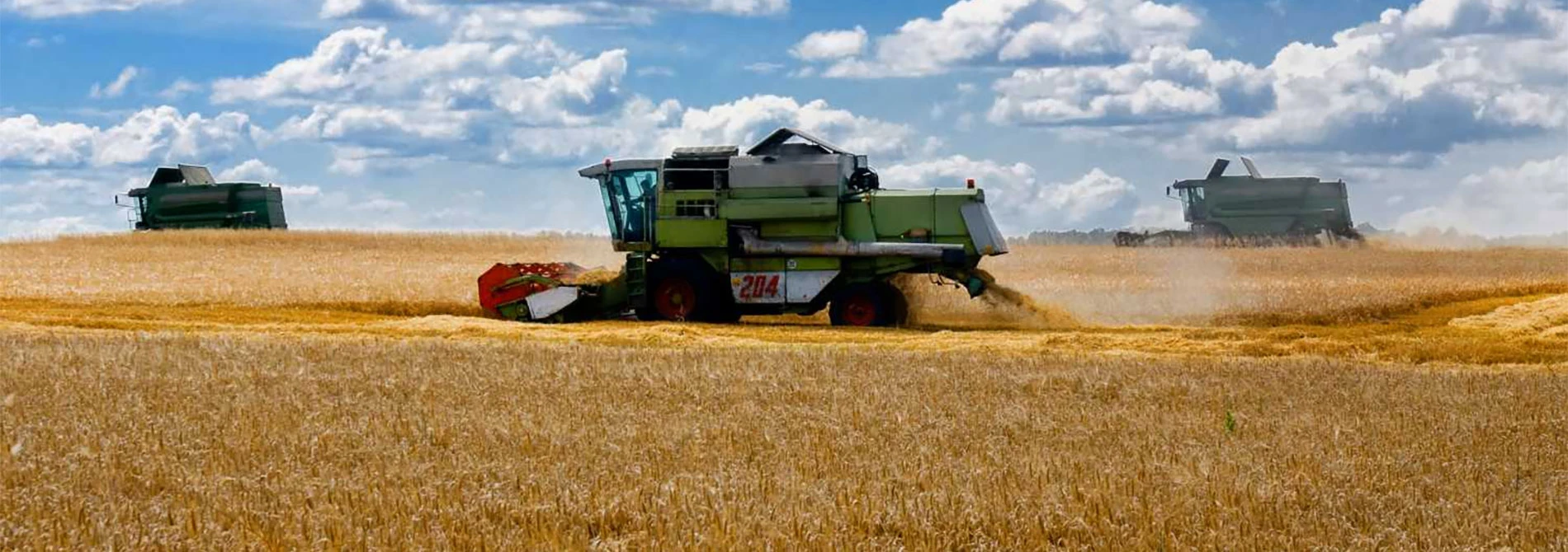 Cijene žitarica mogle bi porasti do 15 posto