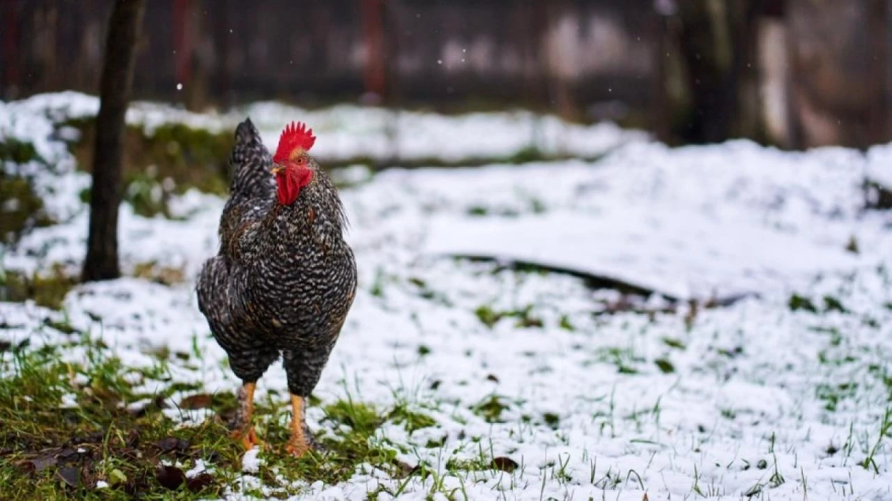 Toplo i sunčano, a od ponedjeljka promjena vremena 