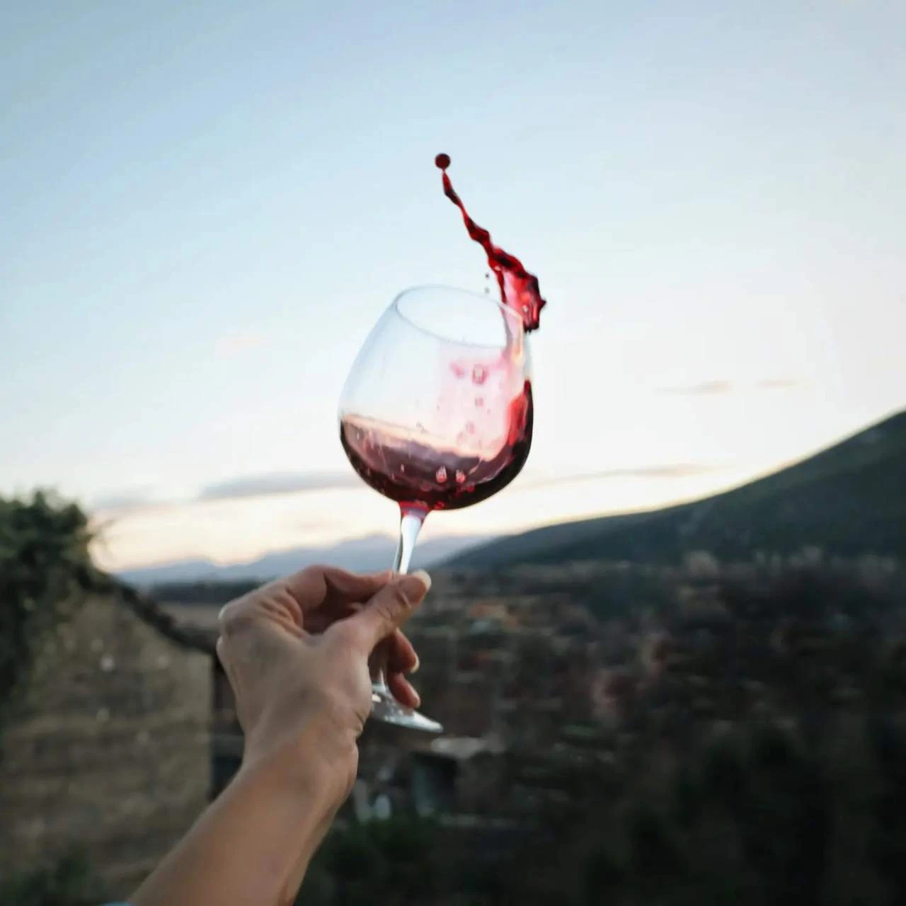 BiH jedina na svijetu u nazivu sadrži vina? "Nismo mi Hercegopatlidžan"