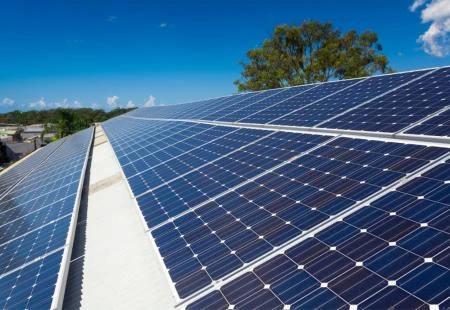 Drvoprodex i ProCredit Bank: Sinergija za premašivanje energetskih izazova za mala i srednja poduzeća