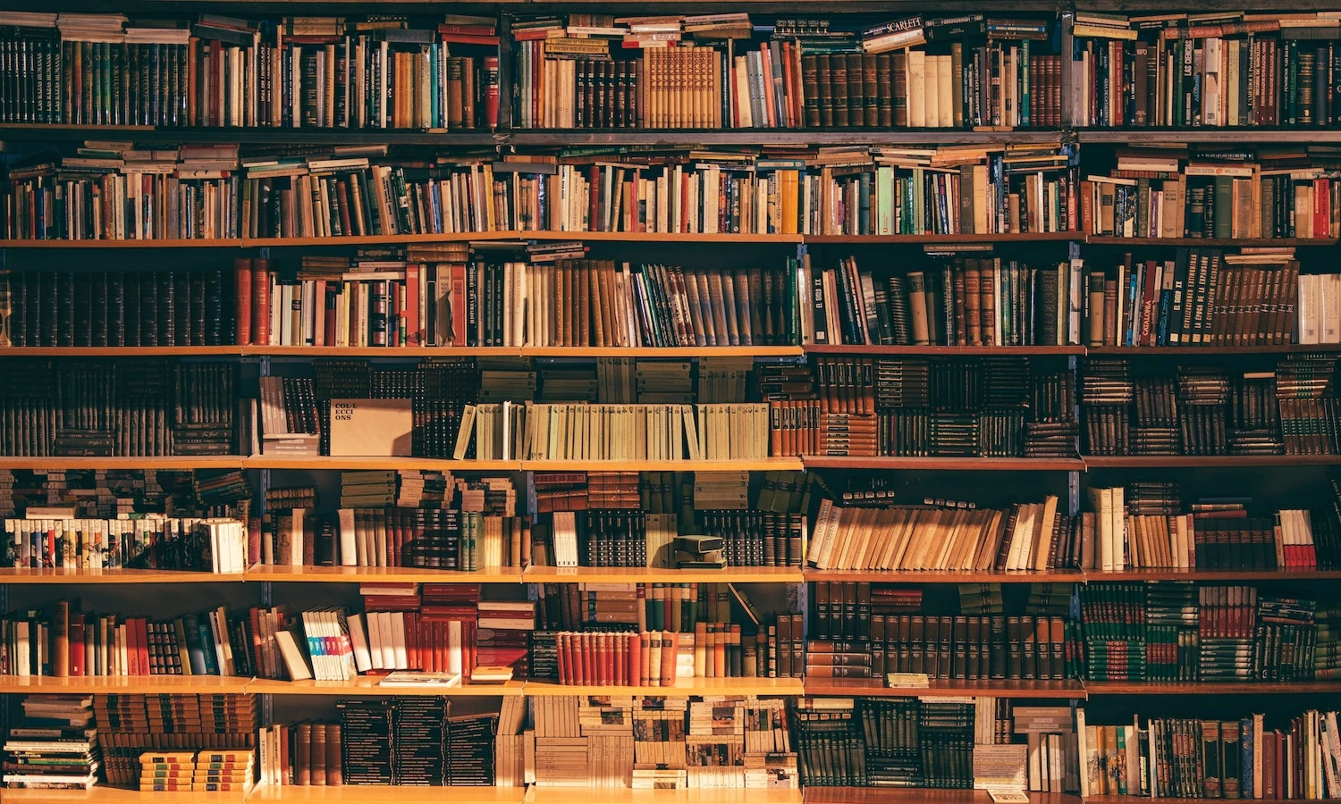 O čovjeku više govori njegova biblioteka nego zdravstveni karton