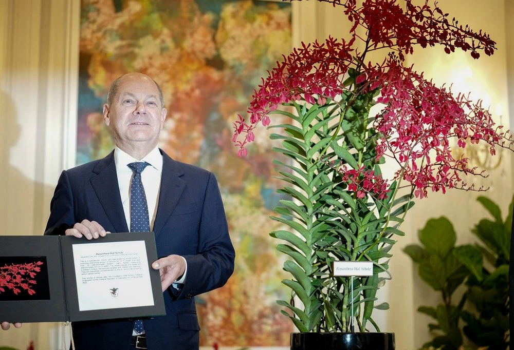 U Singapuru orhideje nazivaju po državnicima, na red je došao i njemački kancelar 
