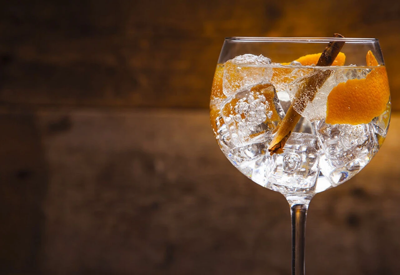 Subota kod kuće? Evo recepta za jesenski gin i tonic