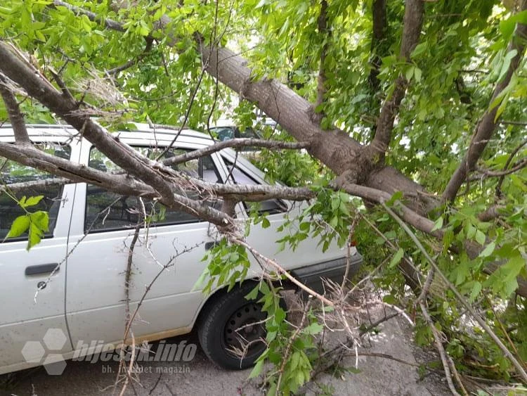 Stablo palo na parkirana auta u Ulici kralja Zvonimira