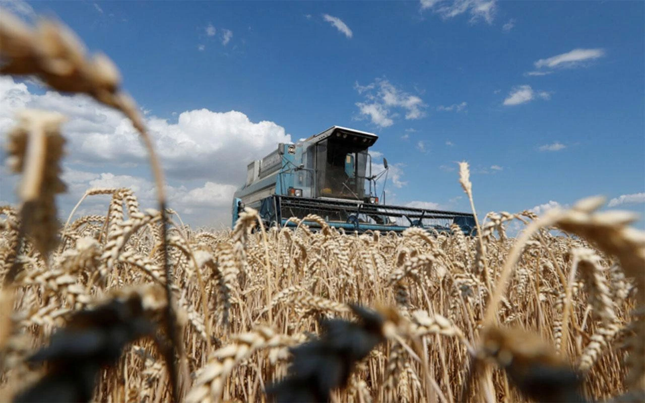 Uvezli smo istu količinu žitarica, samo za 12 milijuna KM više nego prije