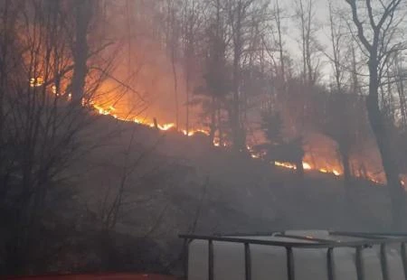 Drvar: Danima gori, izgorjele i kuće
