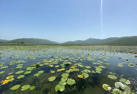 Očuvanje i obnova vlažnih staništa pitanje je očuvanja života na planeti