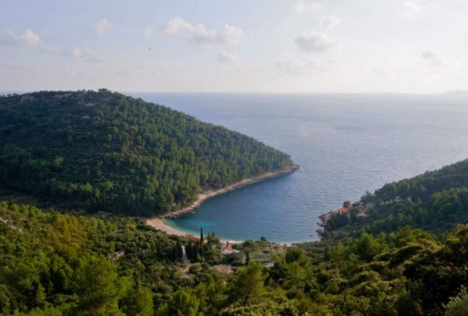 Teška prometna na Korčuli: Poginula trojica mladića