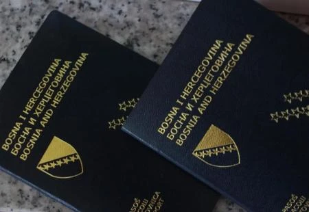 Državljanstva BiH odreklo se 93.317 osoba