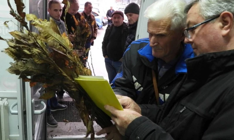 ​Pčelari dobili 3.500 sadnica pitomog kestena