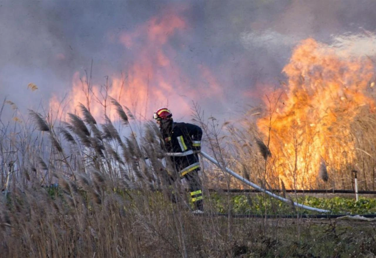 Stolac: Požar i dalje aktivan, na terenu vatrogasci i lokalno stanovništvo