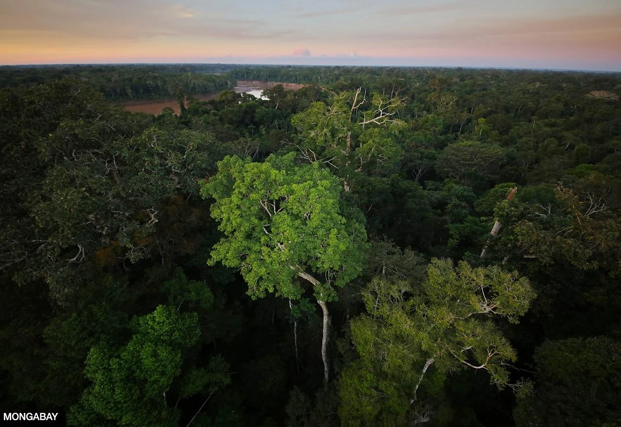 Amazonsku prašumu stvorio asteroid koji je ubio dinosaure